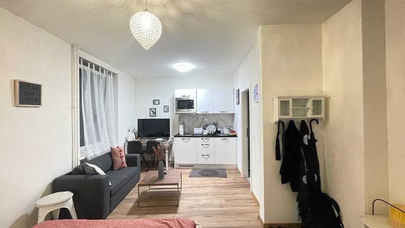 🏡Cozy Furnished 1-Room Apartment Steinstrasse 35 8003 Zürich Ground Floor Left Side -S1 Zürich (8)