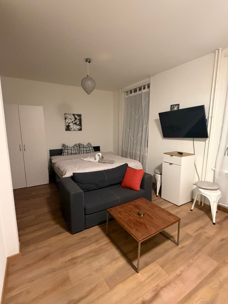 🏡Cozy Furnished 1-Room Apartment Steinstrasse 35 8003 Zürich Ground Floor Left Side -S1 Zürich (2)