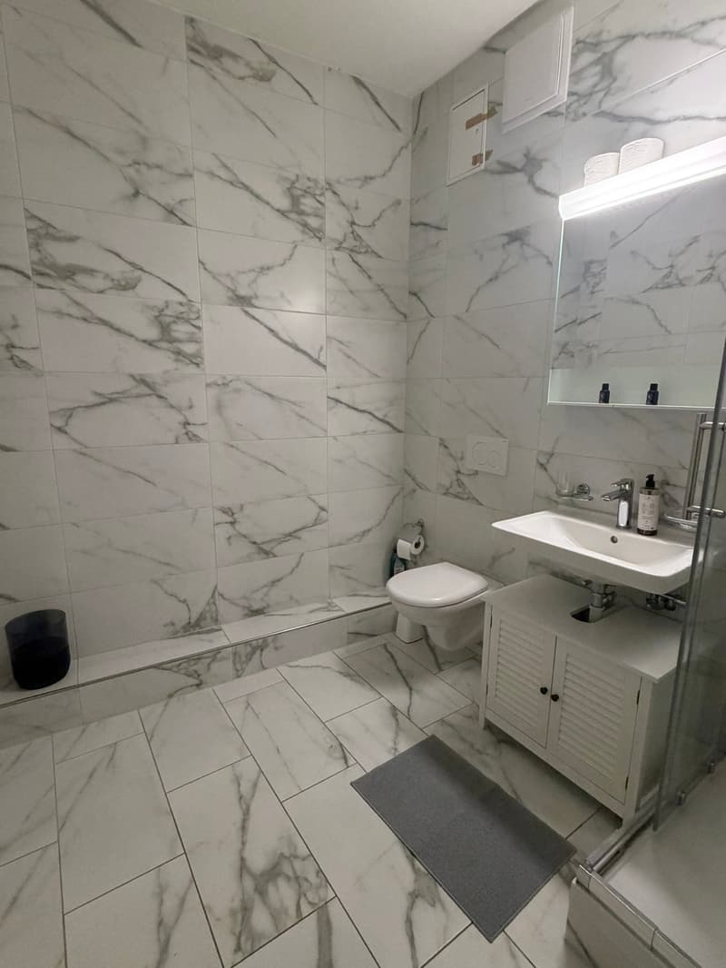 🏡Cozy Furnished 1-Room Apartment Steinstrasse 35 8003 Zürich Ground Floor Left Side -S1 Zürich (10)
