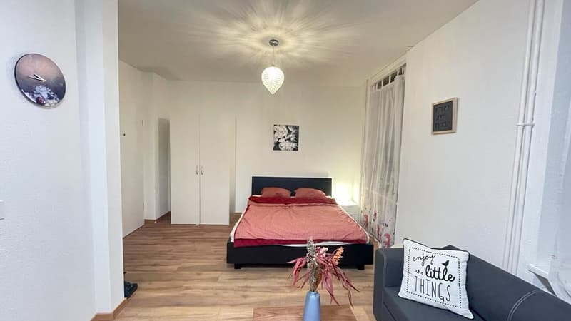 🏡Cozy Furnished 1-Room Apartment Steinstrasse 35 8003 Zürich Ground Floor Left Side -S1 Zürich (1)