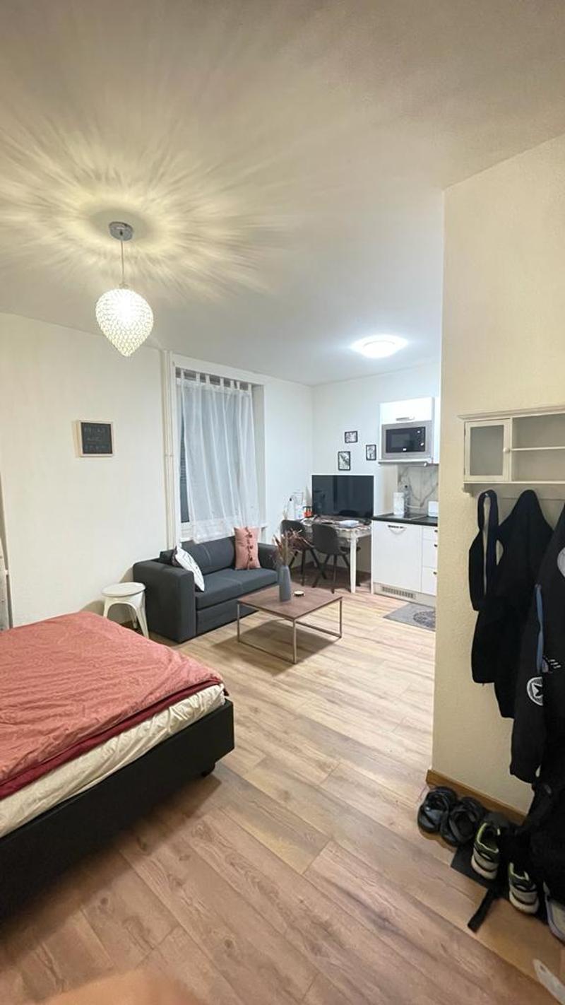 🏡Cozy Furnished 1-Room Apartment Steinstrasse 35 8003 Zürich Ground Floor Left Side -S1 Zürich (4)