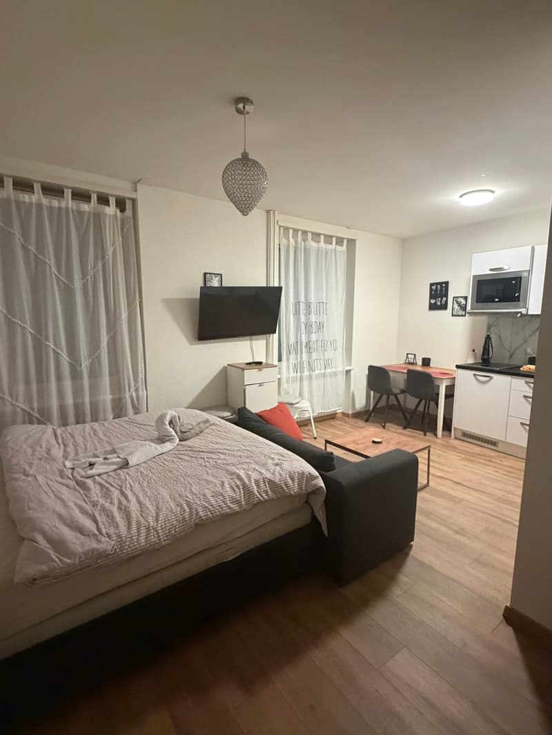 🏡Cozy Furnished 1-Room Apartment Steinstrasse 35 8003 Zürich Ground Floor Left Side -S1 Zürich (6)