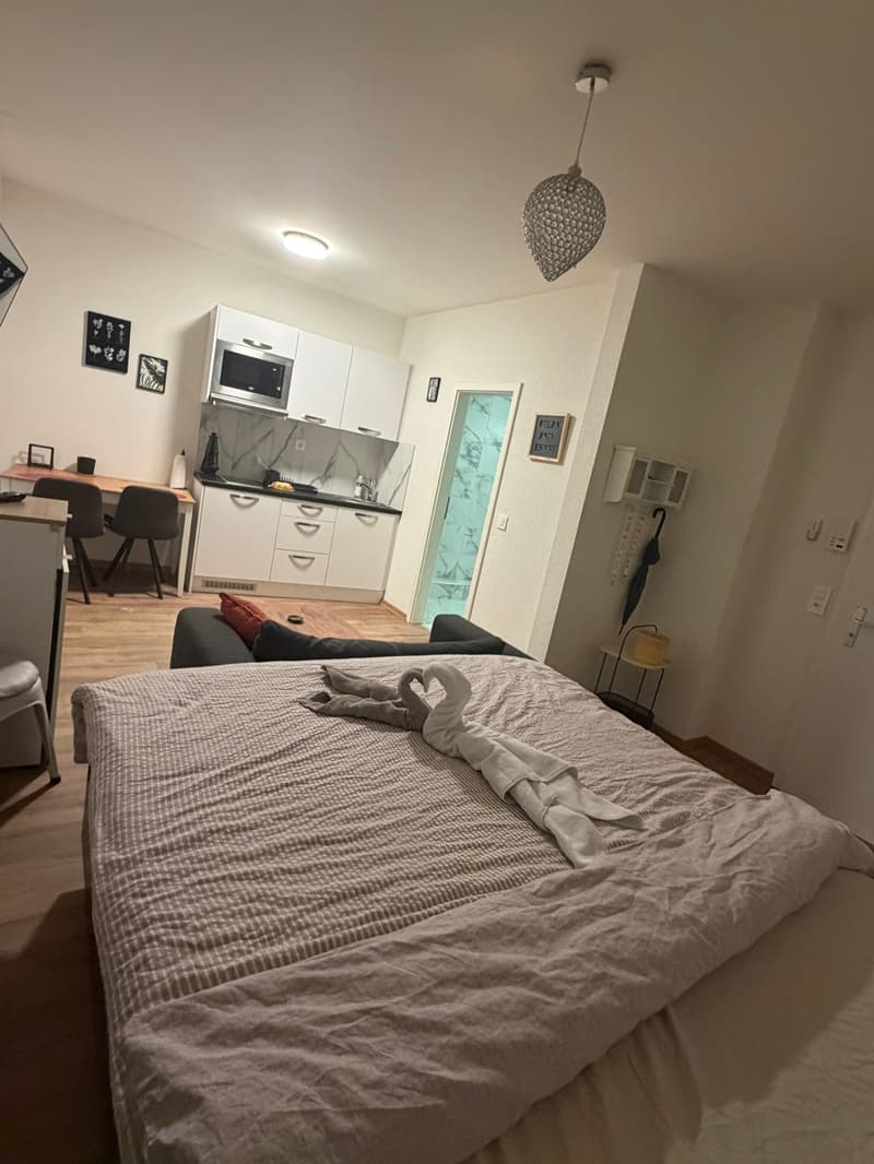 🏡Fully Furnished Studio Room Apartment in Central Zürich Zone 10 - S1 (5)