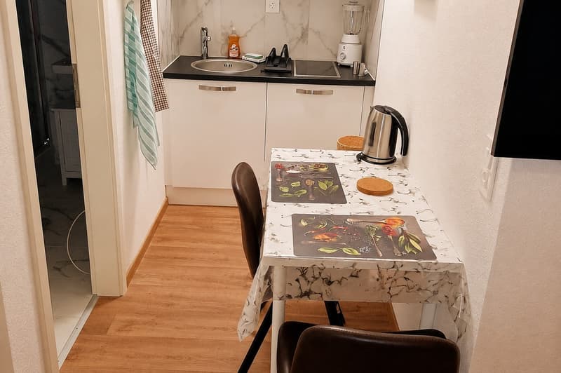 🏡Fully Furnished Studio Apartment Steinstrasse 35 8003 Zurich Ground Floor Right Side-S4 (7)