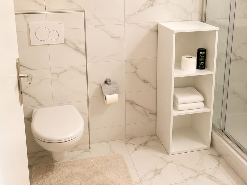 🏡Fully Furnished Studio Apartment Steinstrasse 35 8003 Zurich Ground Floor Right Side-S4 (9)