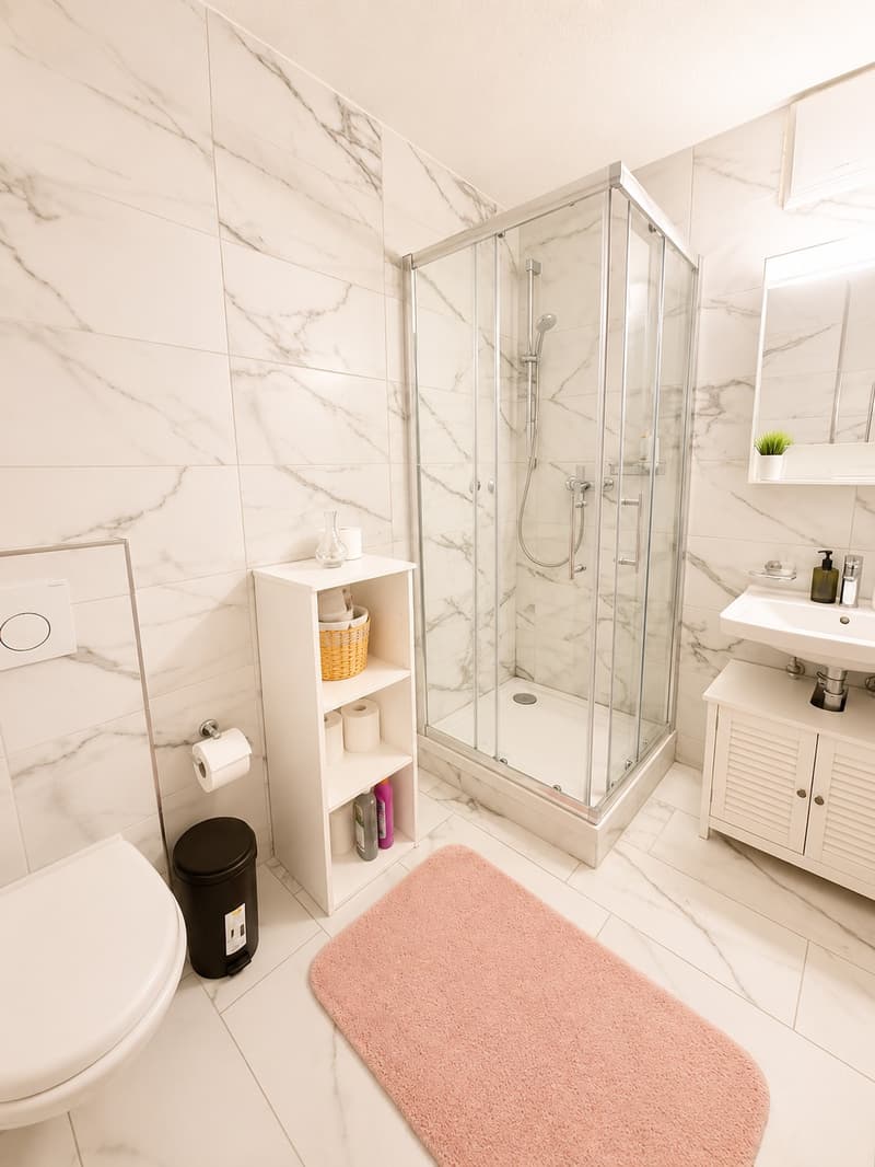 🏡Fully Furnished Studio Apartment Steinstrasse 35 8003 Zurich Ground Floor Right Side-S4 (10)