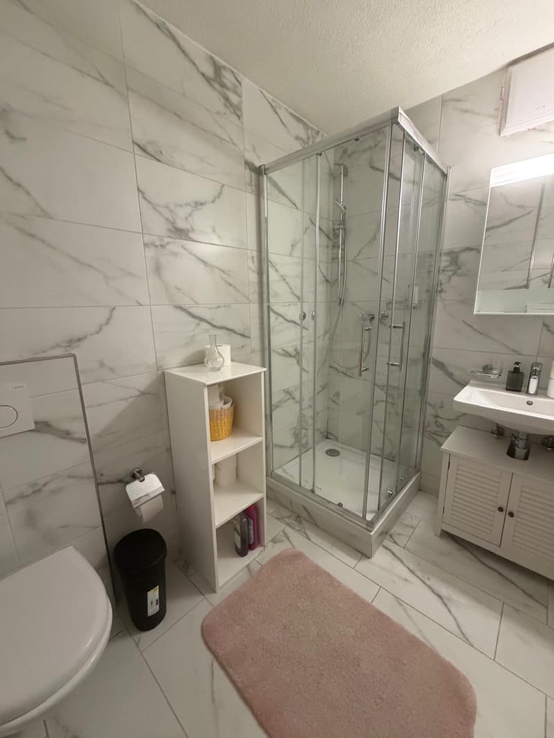 🏡Fully Furnished Studio Apartment Steinstrasse 35 8003 Zurich Ground Floor Right Side-S4 (9)