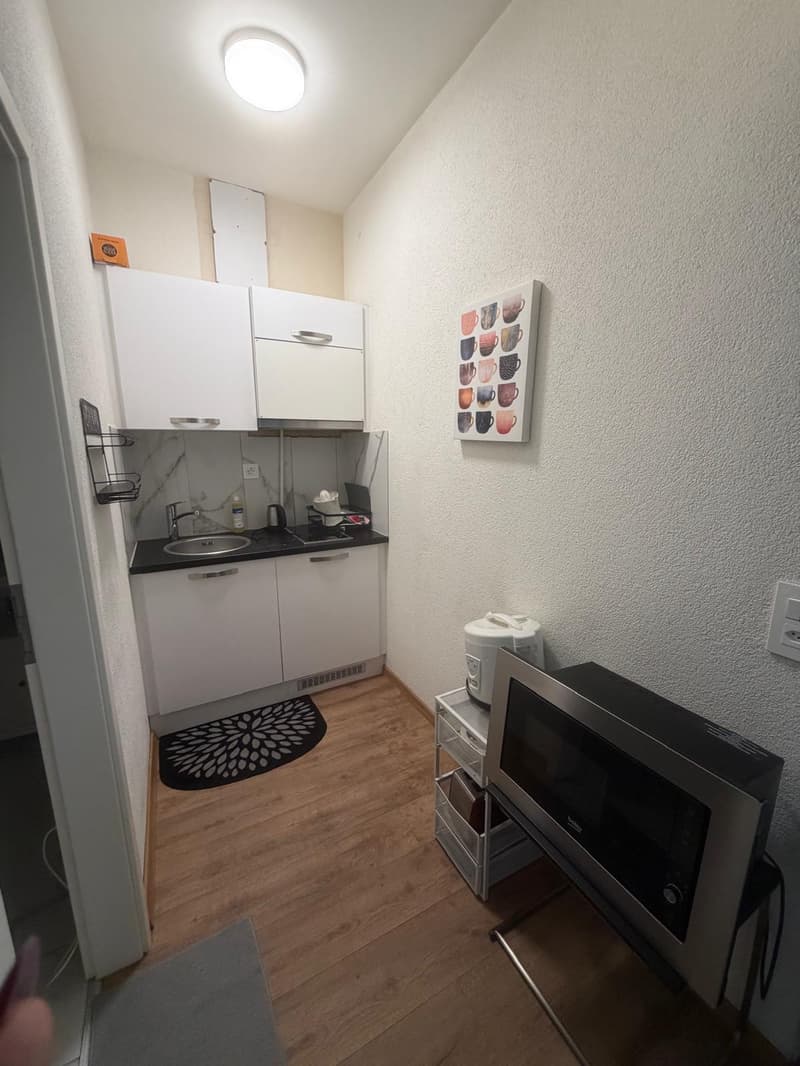 🏡Fully Furnished Studio Apartment Steinstrasse 35 8003 Zurich Ground Floor Right Side-S4 (6)