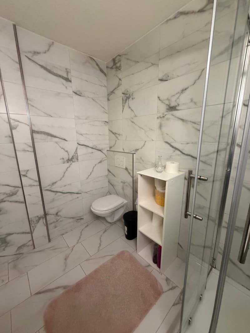 🏡Fully Furnished Studio Apartment Steinstrasse 35 8003 Zurich Ground Floor Right Side-S4 (8)
