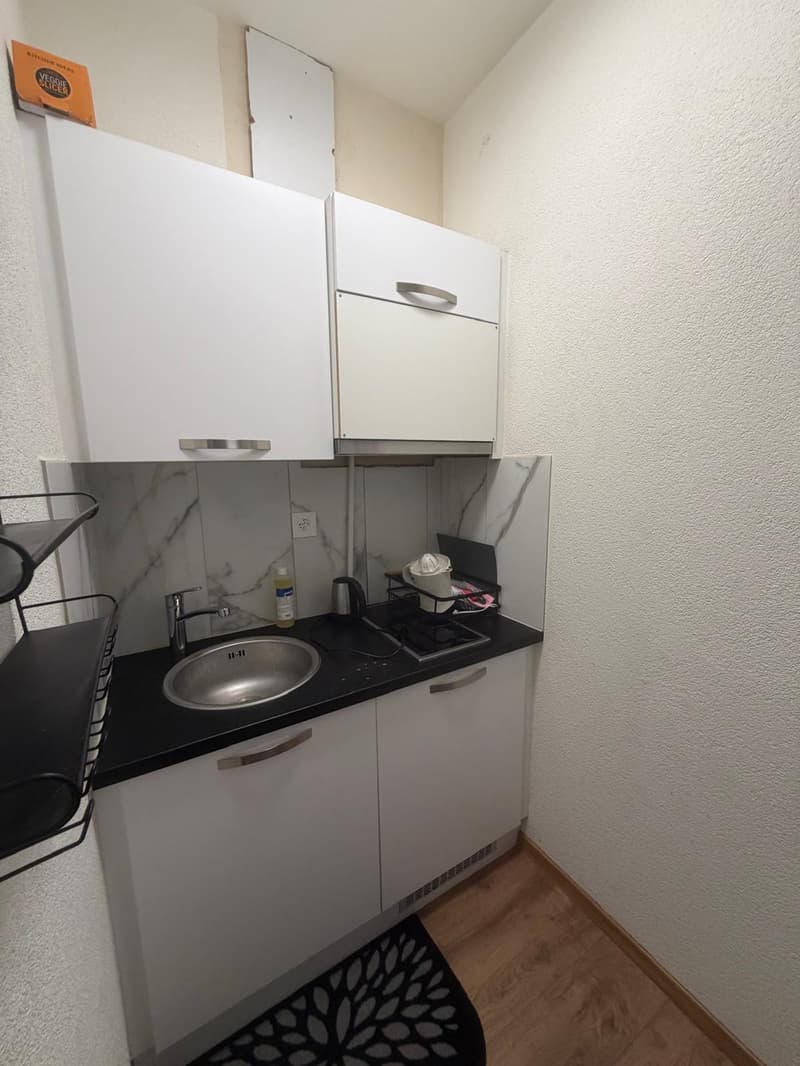🏡Fully Furnished Studio Apartment Steinstrasse 35 8003 Zurich Ground Floor Right Side-S4 (7)
