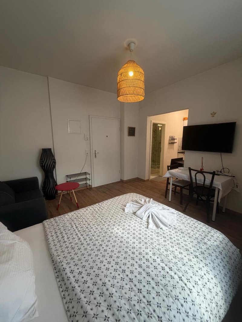 🏡Fully Furnished Studio Apartment Steinstrasse 35 8003 Zurich Ground Floor Right Side-S4 (4)