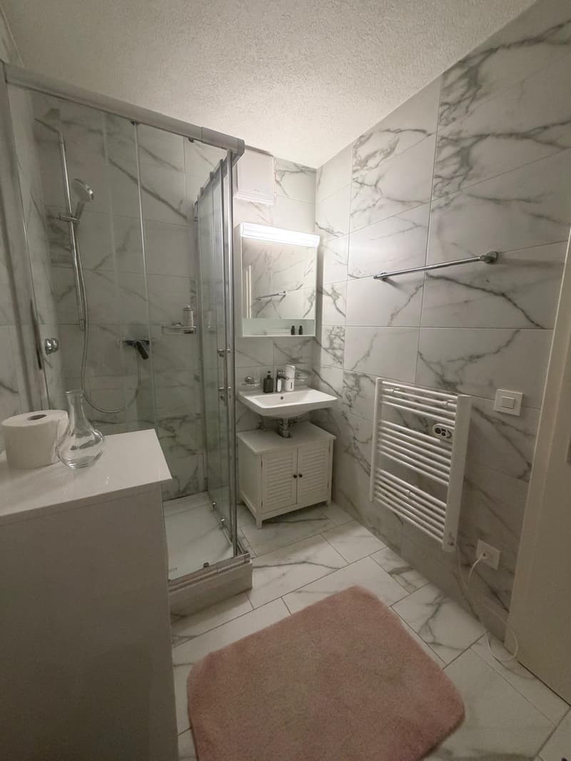 🏡Fully Furnished Studio Apartment Steinstrasse 35 8003 Zurich Ground Floor Right Side-S4 (10)