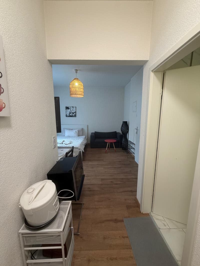 🏡Fully Furnished Studio Apartment Steinstrasse 35 8003 Zurich Ground Floor Right Side-S4 (5)