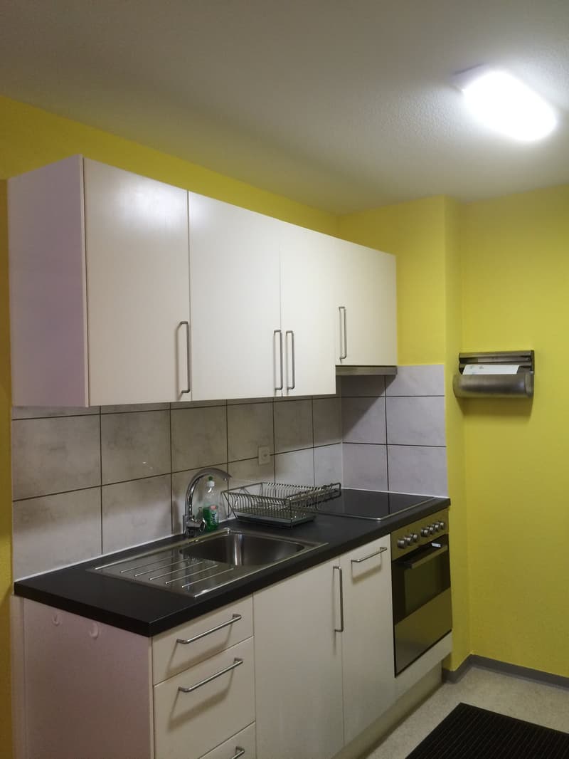 🏡 Charming Furnished 2.5-Room Apartment Seebacherstrasse 64, Zürich Seebach 2nd Floor Left (13)