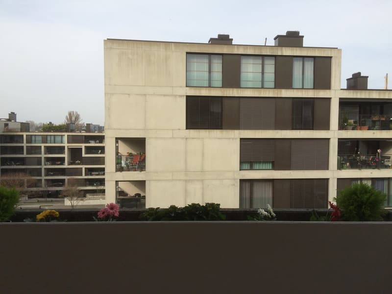 🏡 Charming Furnished 2.5-Room Apartment Seebacherstrasse 64, Zürich Seebach 2nd Floor Left (17)