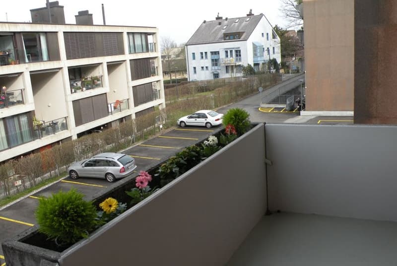 🏡 Charming Furnished 2.5-Room Apartment Seebacherstrasse 64, Zürich Seebach 2nd Floor Left (16)