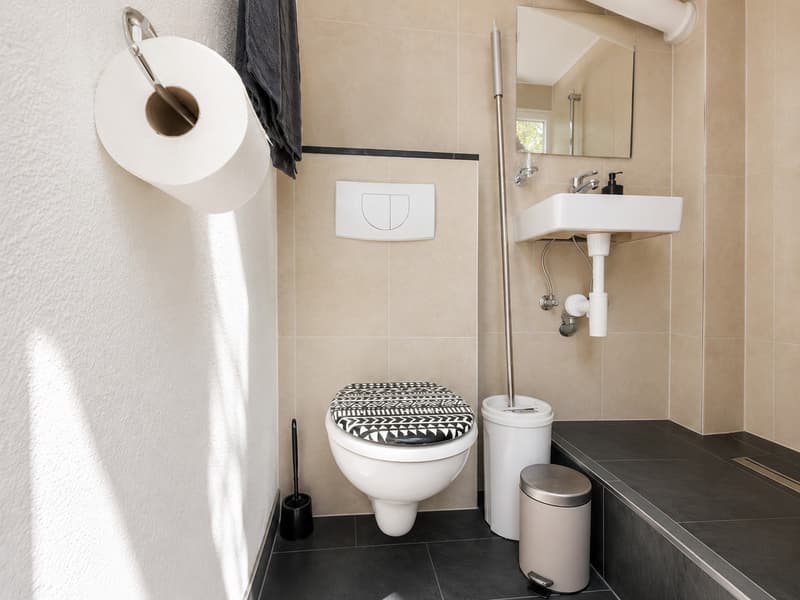 🏡 Cozy Furnished Studio Apartment in Wallisellen – Available from 1st sep 2026 (8)