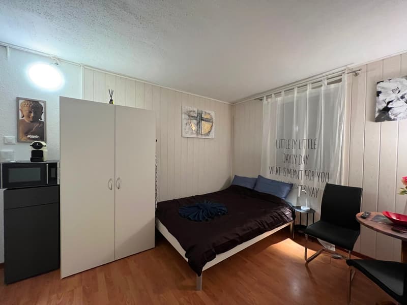🏡 Cozy Furnished Studio Apartment in Wallisellen – Available from 19th July 2026 (6)