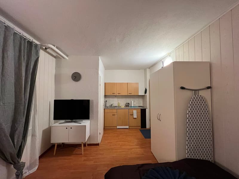 🏡 Cozy Furnished Studio Apartment in Wallisellen – Available from 19th July 2026 (8)