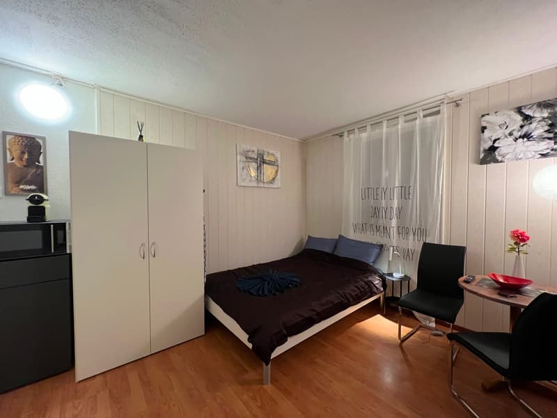 🏡 Cozy Furnished Studio Apartment in Wallisellen – Available from 19th July 2026 (1)