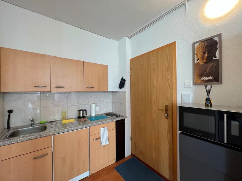 🏡 Cozy Furnished Studio Apartment in Wallisellen – Available from 19th July 2026 (7)