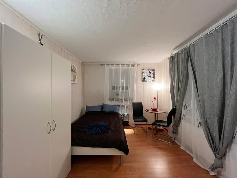 🏡 Cozy Furnished Studio Apartment in Wallisellen – Available from 19th July 2026 (5)
