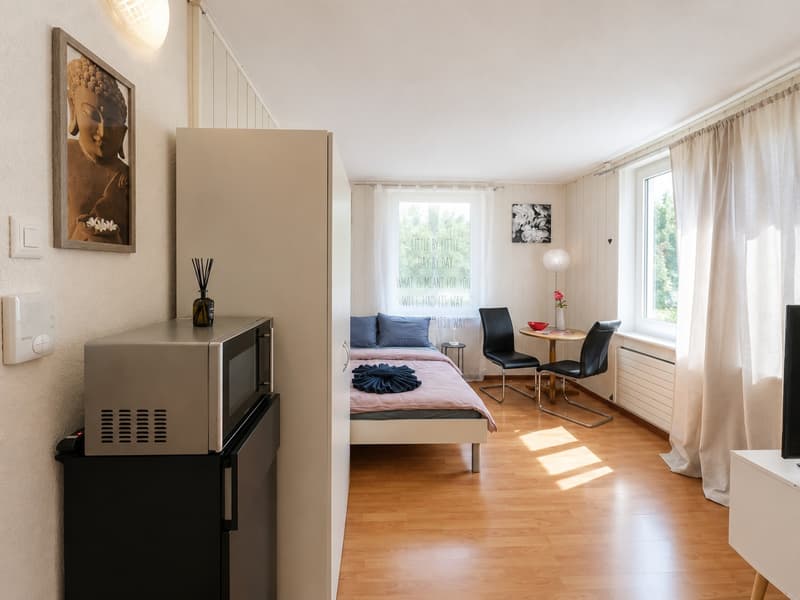 🏡 Cozy Furnished Studio Apartment in Wallisellen (4)