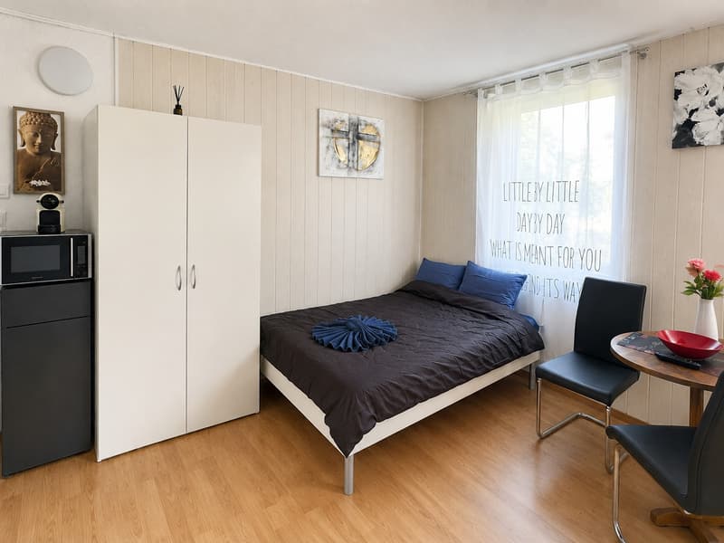 🏡 Cozy Furnished Studio Apartment in Wallisellen (1)