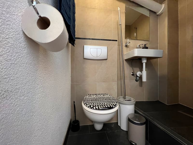🏡 Cozy Furnished Studio Apartment in Wallisellen – Available from 19th July 2026 (10)