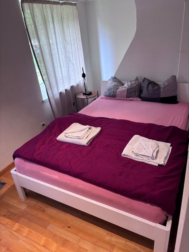 🏡Modern 3.5-Room Furnished Apartment - Langnau am Albis Ideal for Corporate & Families (13)
