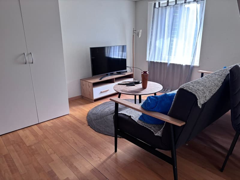 🏡Modern 3.5-Room Furnished Apartment - Langnau am Albis Ideal for Corporate & Families (6)