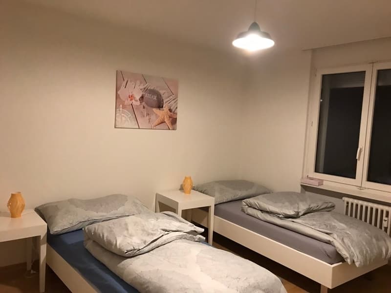 π Charming 3.5-Room Furnished Apartment with Balcony in Adliswil β Available Immediately (7)