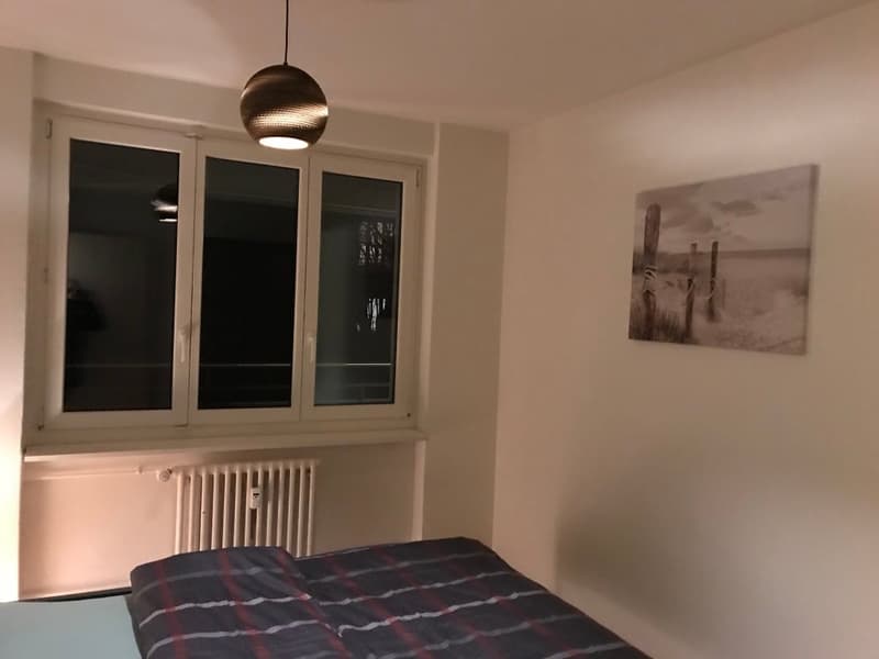 π Charming 3.5-Room Furnished Apartment with Balcony in Adliswil β Available Immediately (5)