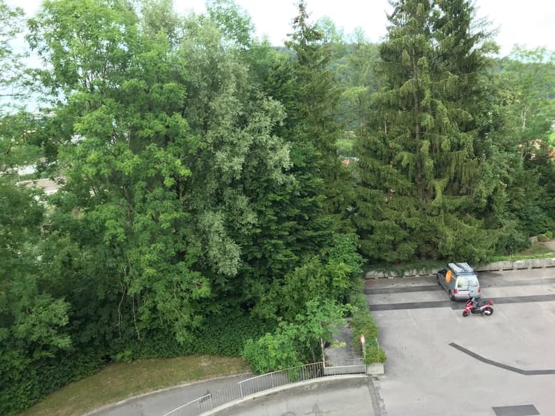 π Charming 3.5-Room Furnished Apartment with Balcony in Adliswil β Available Immediately (14)