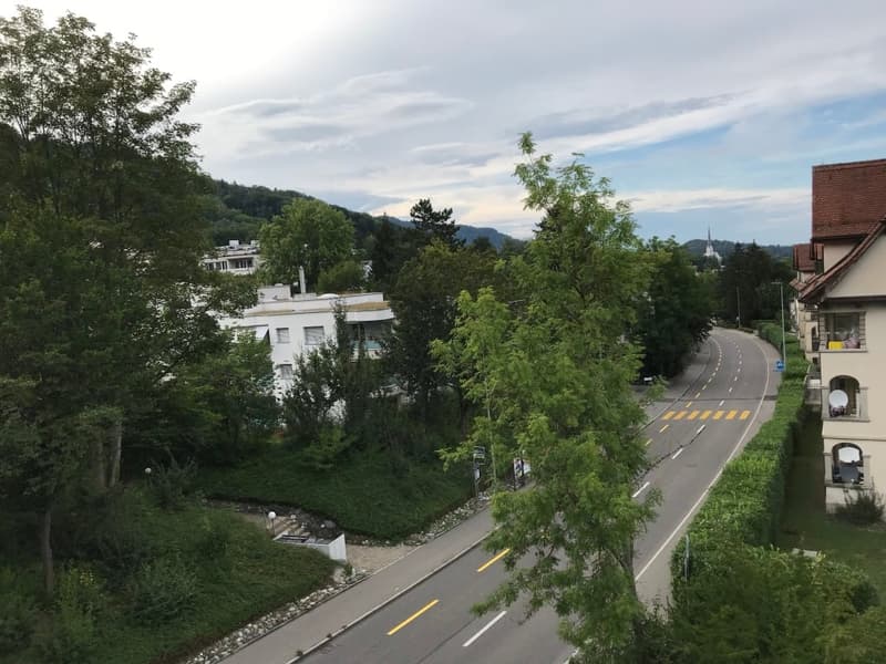 π Charming 3.5-Room Furnished Apartment with Balcony in Adliswil β Available Immediately (15)