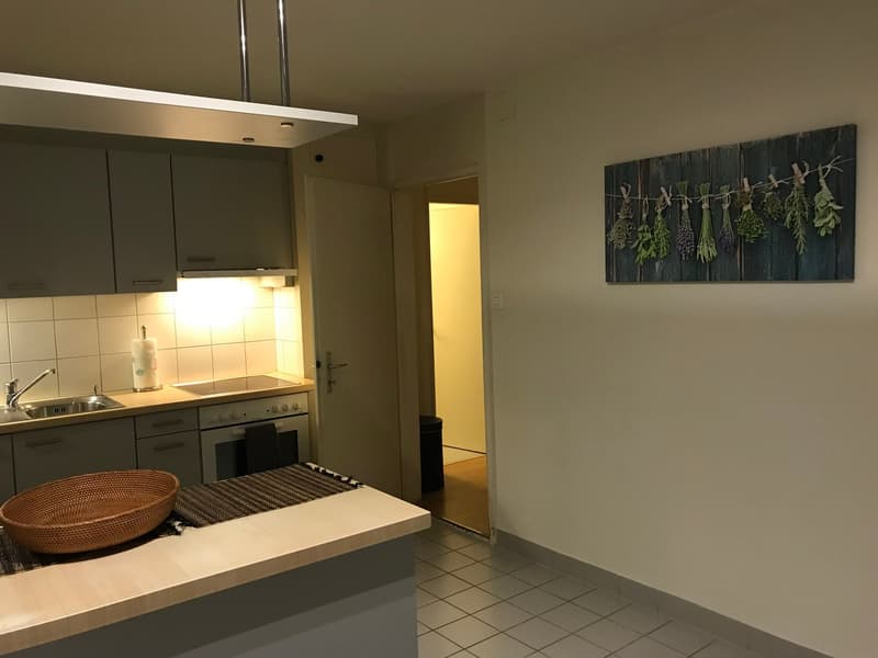 π Charming 3.5-Room Furnished Apartment with Balcony in Adliswil β Available Immediately (10)
