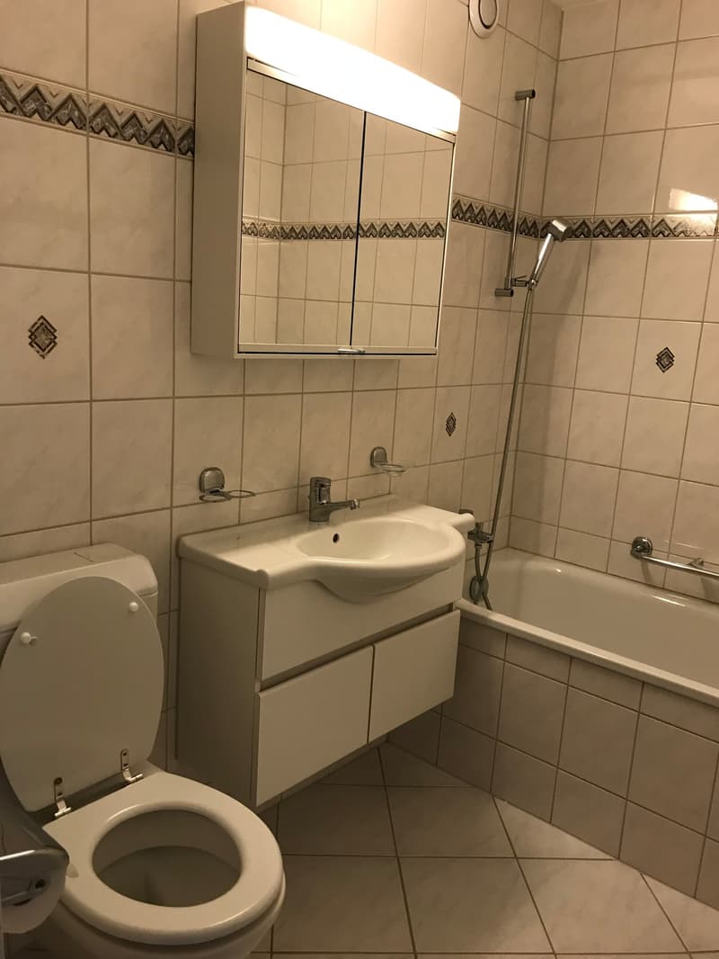 π Charming 3.5-Room Furnished Apartment with Balcony in Adliswil β Available Immediately (11)