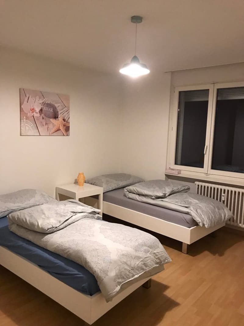 π Charming 3.5-Room Furnished Apartment with Balcony in Adliswil β Available Immediately (8)