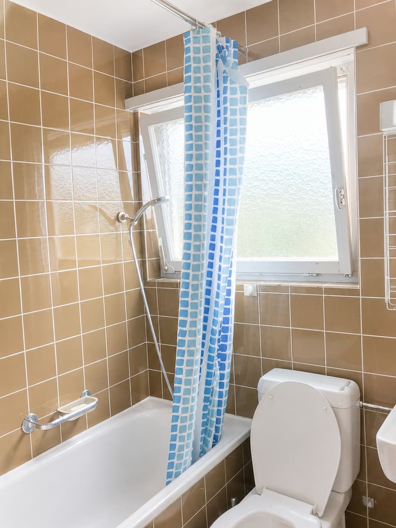 🏠 Charming 3.5-Room Furnished Apartment with Balcony in Adliswil – Available Immediately (11)