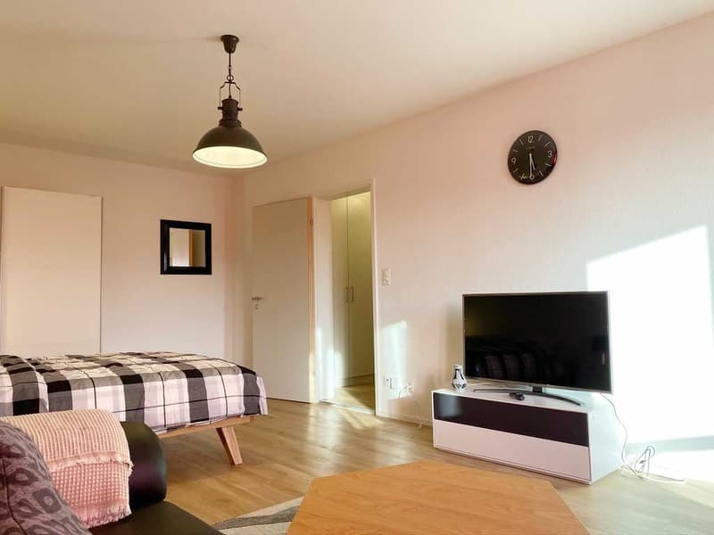 🏡 Fully Furnished 1.5-Room Apartment for Rent – Ueberlandstrasse, 8051 Zürich (2)