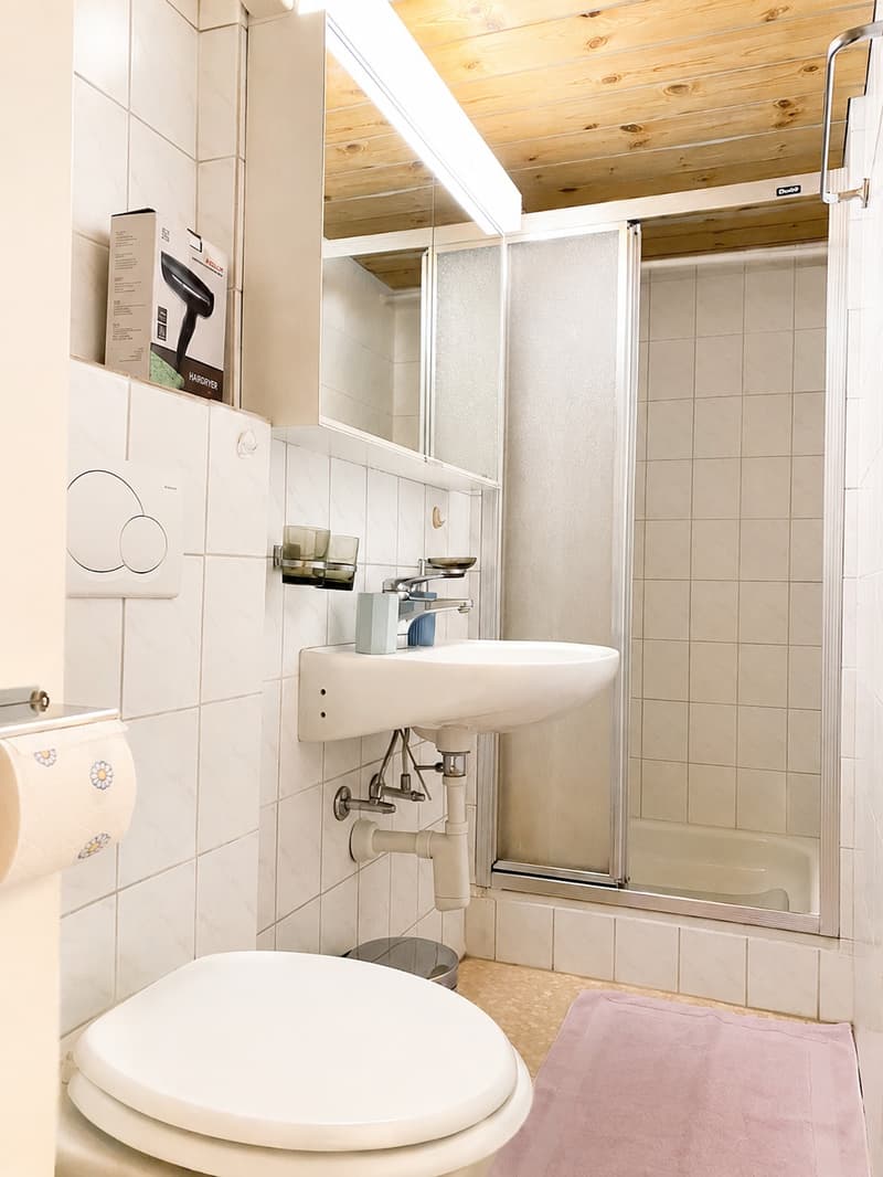 🏡Charming Furnished 2.5-Room Apartment in Langnau am Albis (9)