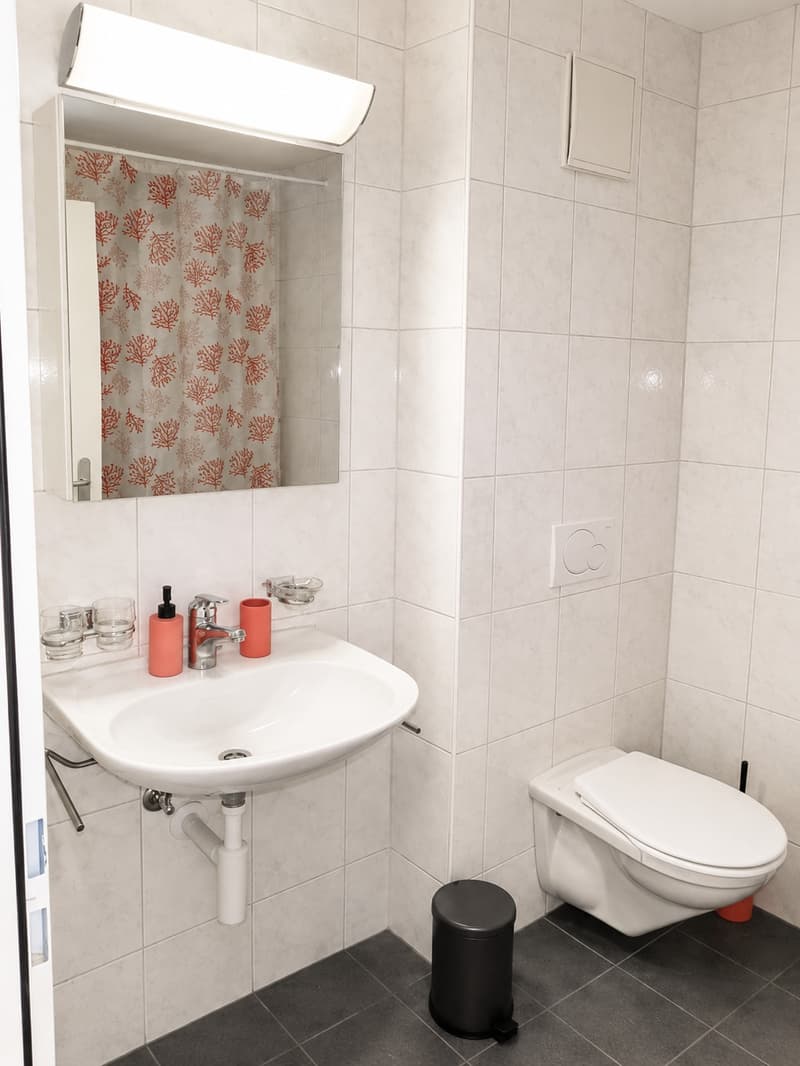 ✨ Furnished 2.5-Room Apartment with Balcony  3rd Floor, Right  Riehenring 143, 4058 Basel (9)