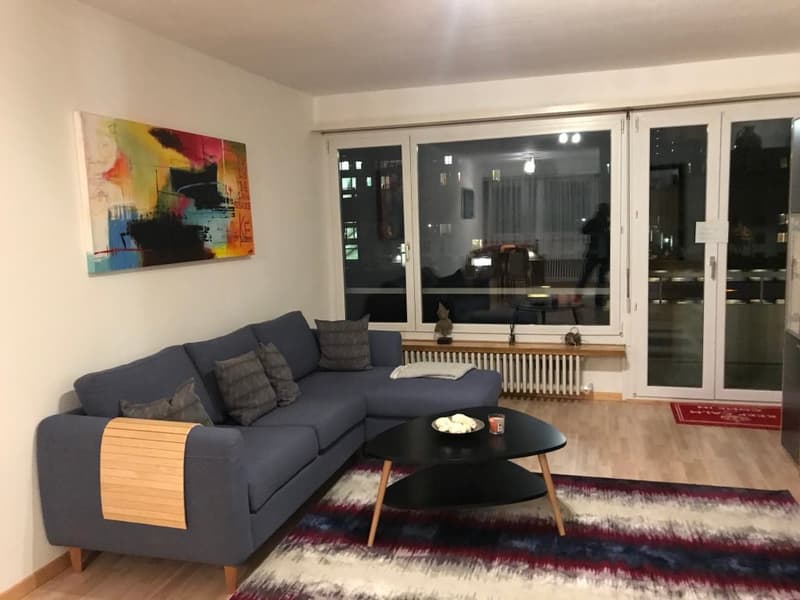 ✨Furnished 3.5-Room Apartment with Balcony and Beautiful Views in Wallisellen (4)