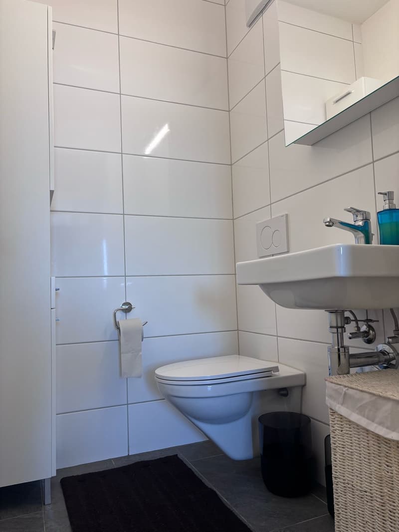 ☀️Furnished 4.5-Room Apartment with Balcony and Stunning Views in Oberglatt (17)