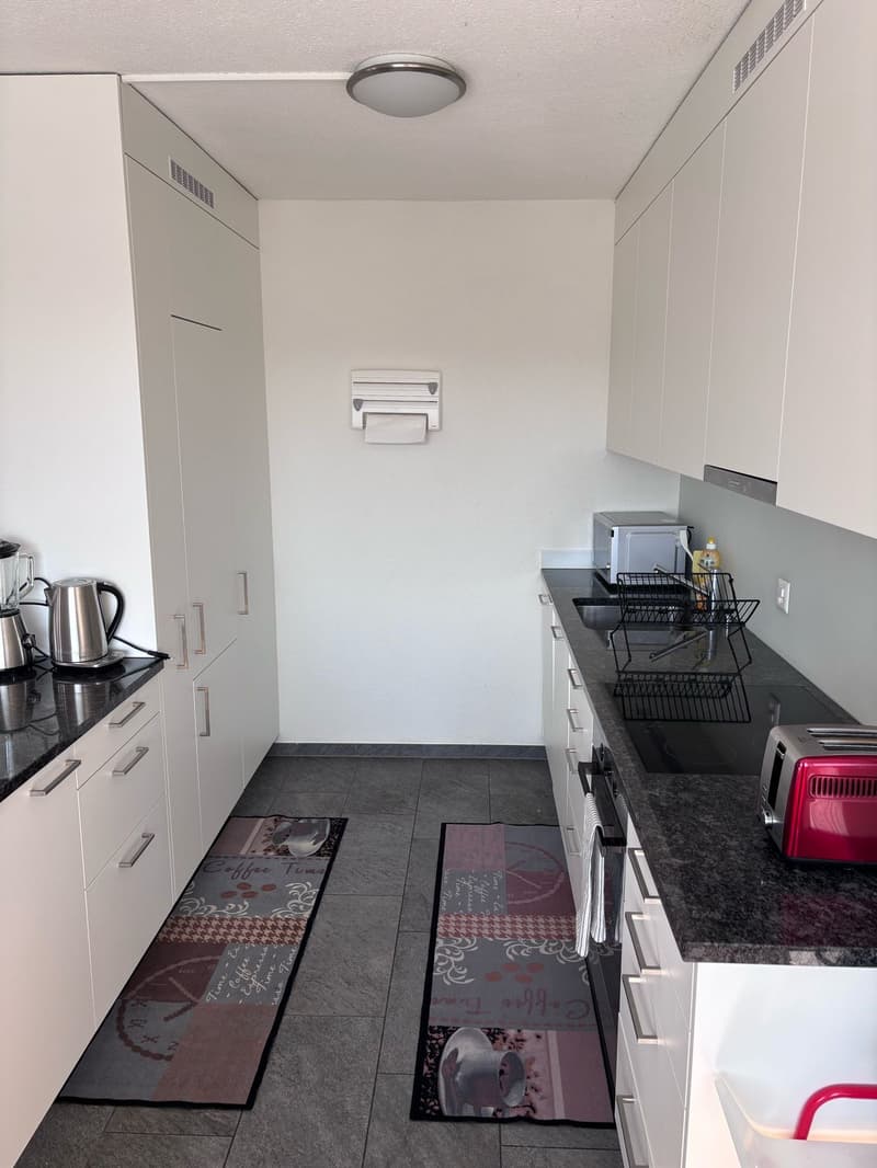☀️Furnished 4.5-Room Apartment with Balcony and Stunning Views in Oberglatt (13)