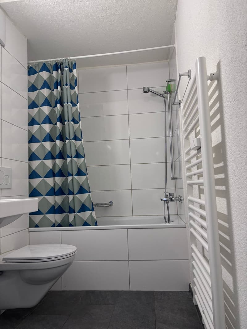 ☀️Furnished 4.5-Room Apartment with Balcony and Stunning Views in Oberglatt (16)