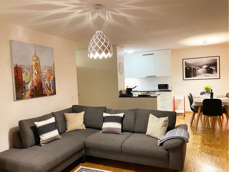 ☀️Furnished 4.5-Room Apartment with Balcony and Stunning Views in Oberglatt (3)