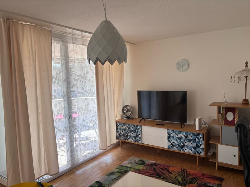 ☀️Furnished 4.5-Room Apartment with Balcony and Stunning Views in Oberglatt (2)