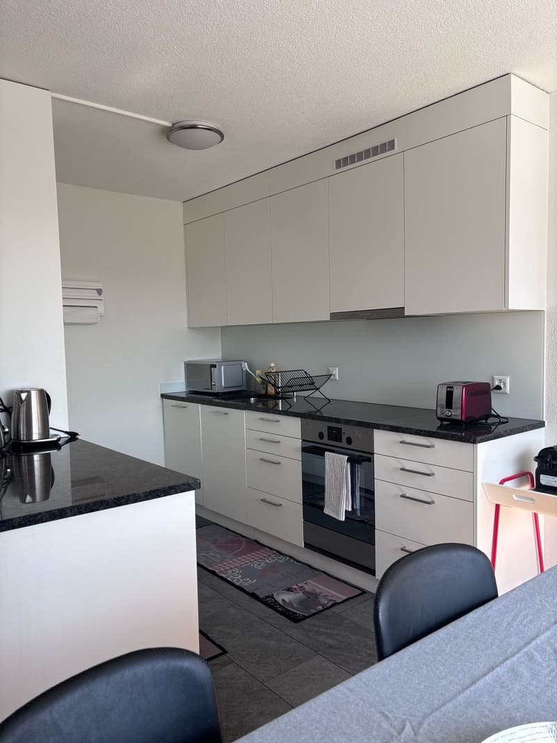 ☀️Furnished 4.5-Room Apartment with Balcony and Stunning Views in Oberglatt (12)