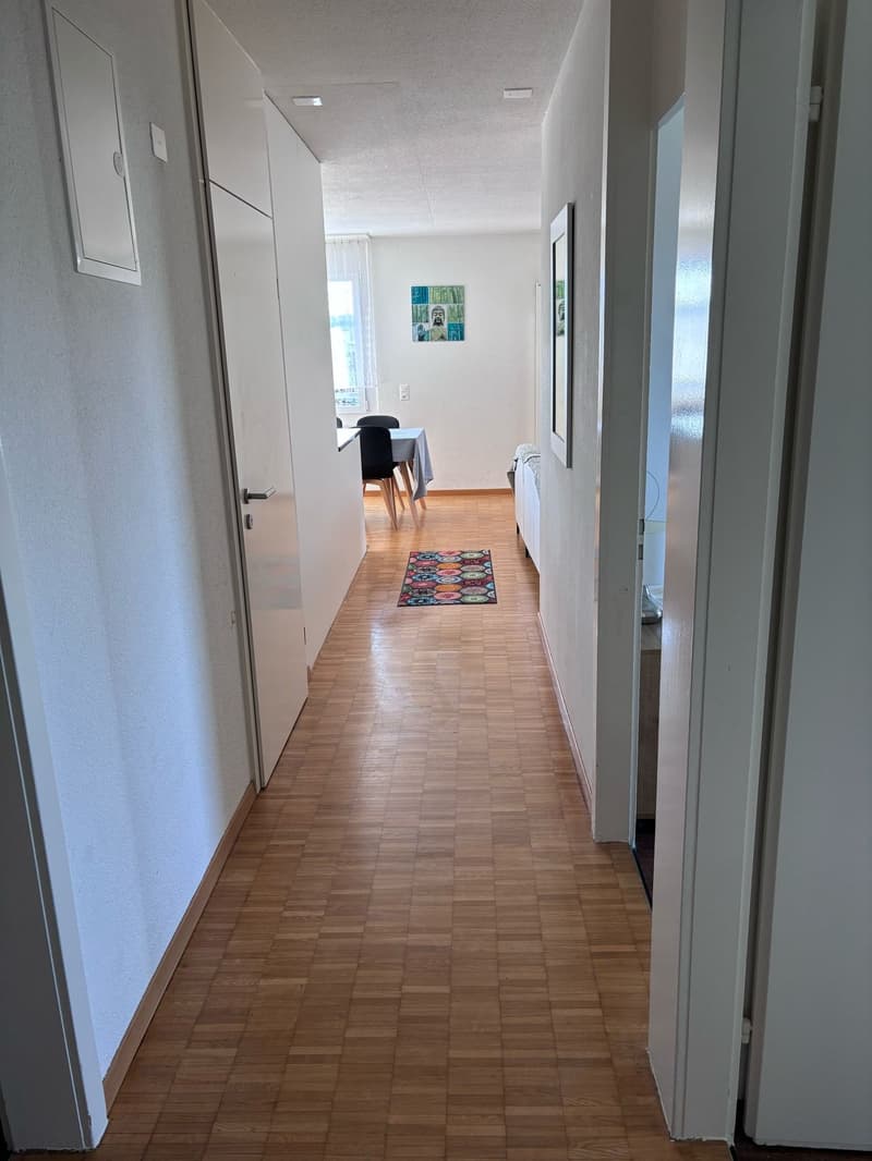 ☀️Furnished 4.5-Room Apartment with Balcony and Stunning Views in Oberglatt (15)